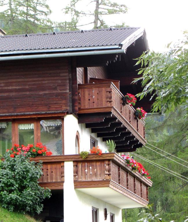 Appartement Seppenbauer Heiligenblut Extérieur photo